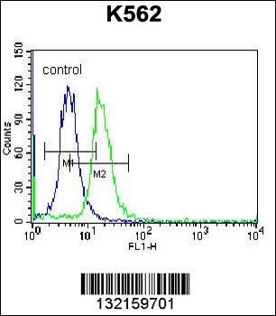 ABCD2 Antibody