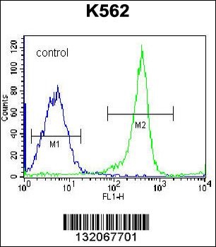 EIF3C Antibody