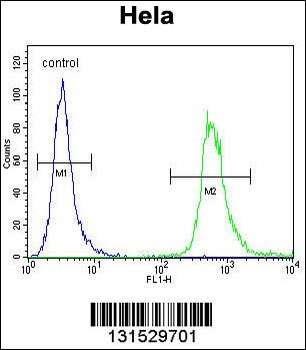 WDR3 Antibody