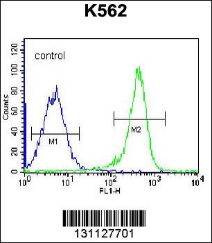 PSTPIP1 Antibody