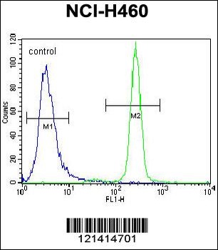 IL6 Antibody