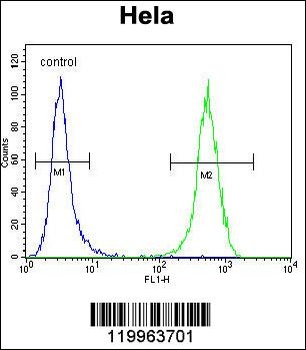 WFDC1 Antibody