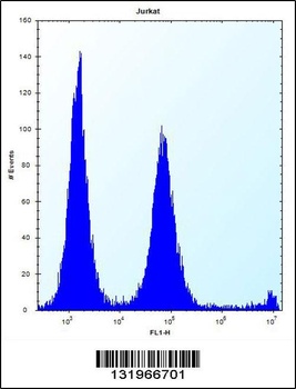 POLR2G Antibody