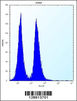 KRTAP13-3 Antibody