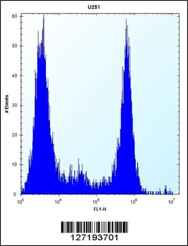 VPS37B Antibody