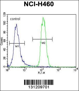 LETM2 Antibody