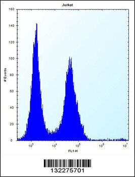 MAP4K2 Antibody