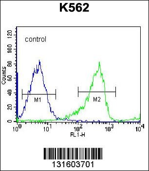 PCDHB14 Antibody