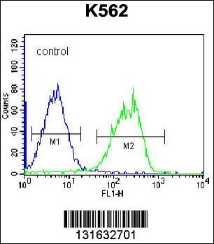 HLA-DQA1 Antibody