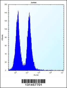 MAFB Antibody