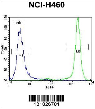 HIST3H3 Antibody