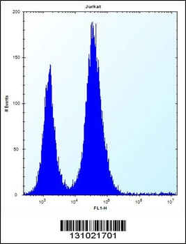 RBL2 Antibody