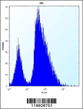 VSNL1 Antibody