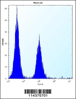 hGCN5 Antibody