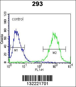 STX16 Antibody