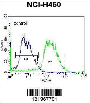 PCDHAC2 Antibody