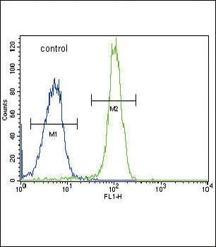 SDHD Antibody