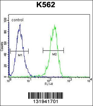 CPSF7 Antibody