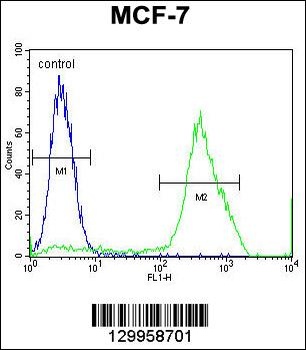 MBD3L3 Antibody