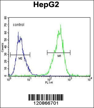 GLRX3 Antibody