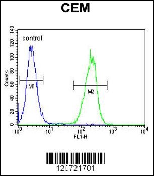 ZMYND10 Antibody