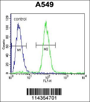 SOX3 Antibody