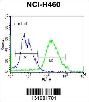 GSR Antibody