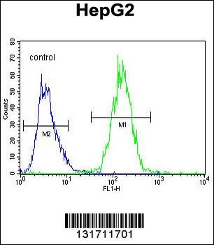 RDH13 Antibody