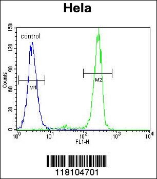 MED7 Antibody