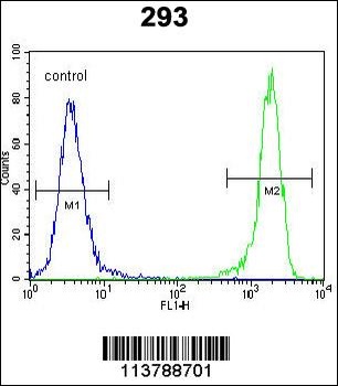 DDIT3 Antibody