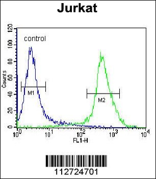 MOGAT3 Antibody