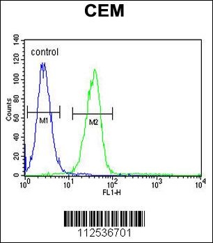 MGP Antibody