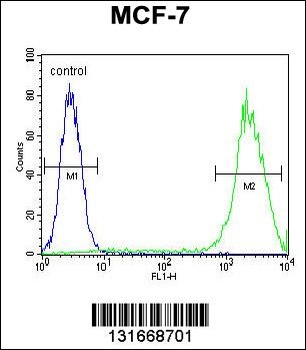 LGALS3 Antibody