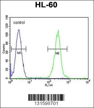 PRSS3 Antibody