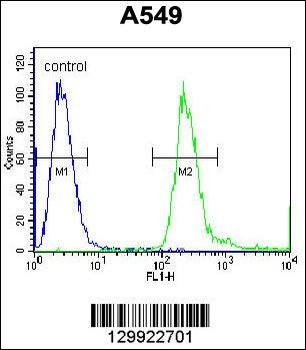 PABPN1L Antibody