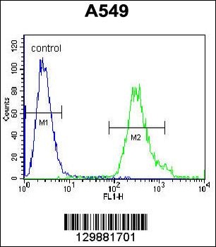 SOWAHD Antibody