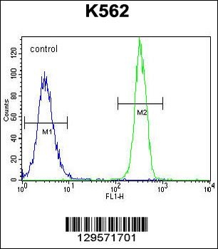 FBRSL1 Antibody