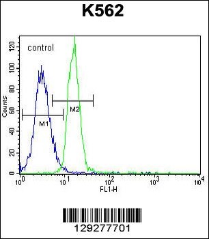 PTPN20A Antibody