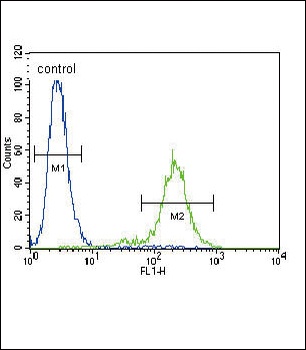 SLCO4C1 Antibody