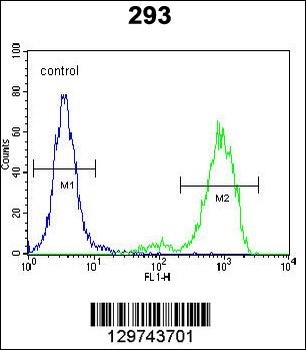 SPDYE5 Antibody