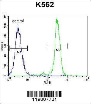 CPA3 Antibody