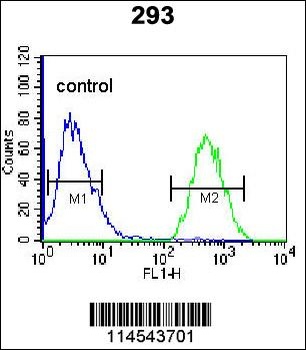 GPC6 Antibody