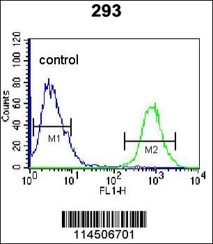 OGN Antibody