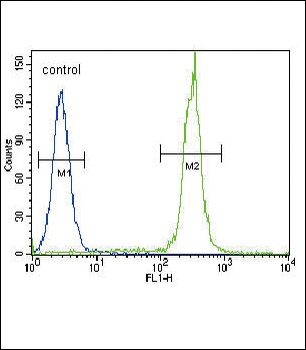 BTC Antibody