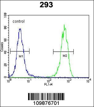 PTK9L Antibody