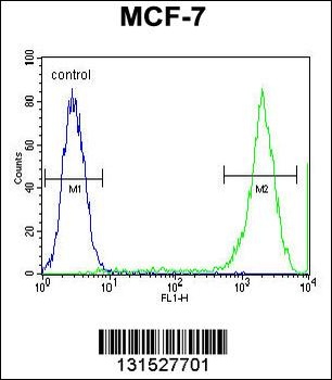 PCDH20 Antibody