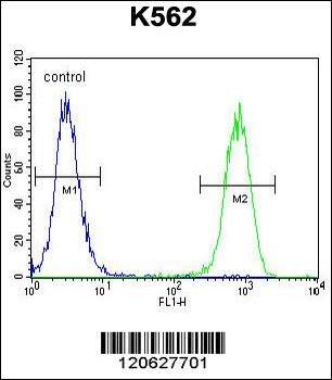 SMARCA5 Antibody