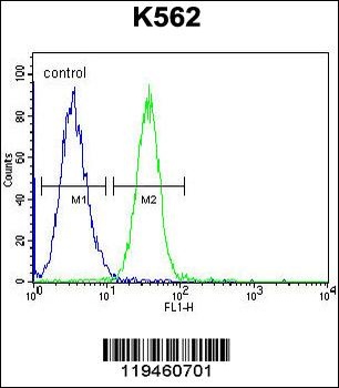 SPB4 Antibody