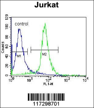 RBM14 Antibody