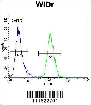 PIK3R5 Antibody